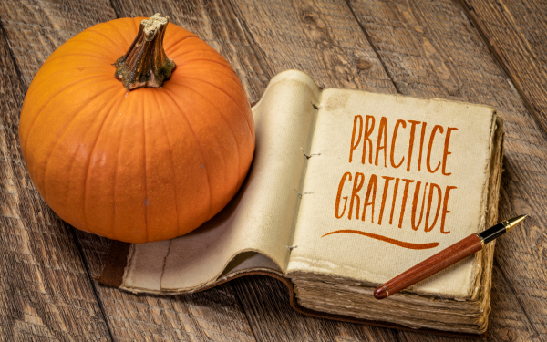 LWC 11NOV Daily Gratitude